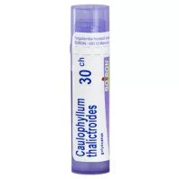 CAULOPHYLL THALICTROID C30 golyócskák 4 g