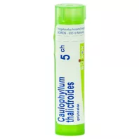 CAULOPHYLL THALICTROID C5 golyócskák 4 g