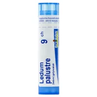 LEDUM PALUSTRE C9 golyócskák 4 G