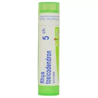 RHUS TOXICODENDRON C5 golyócskák 4 g