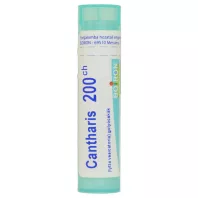 CANTHARIS C200 golyócskák 4 G