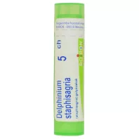 DELPHINIUM STAPHYSAGRIA C5 golyócskák 4 G