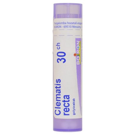 CLEMATIS RECTA C30 golyócskák 4 G