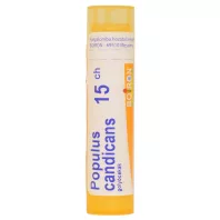 POPULUS CANDICANS C15 golyócskák 4 G