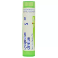 LYCOPODIUM CLAVATUM C5 golyócskák 4 G