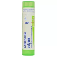 CHAMOMILLA VULGARIS C5 golyócskák 4 G