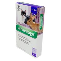   Advantage-80, rácsepegtető oldat macskáknak és nyulaknak 4-8kg 1x0.8ml
