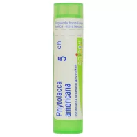 PHYTOLACCA AMERICA C5 golyócskák 4 G