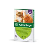   Advantage-80, rácsepegtető oldat macskáknak és nyulaknak 4-8kg 4x0.8ml