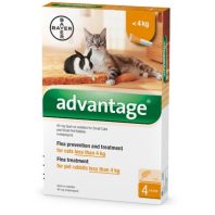   ADVANTAGE rácsepegtető oldat macskáknak és nyulaknak, 4 kg alatt 4x0.4 ml