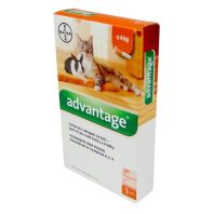   Advantage-40, rácsepegtető oldat macskáknak és nyulaknak 4kg alatti 1x0.4ml