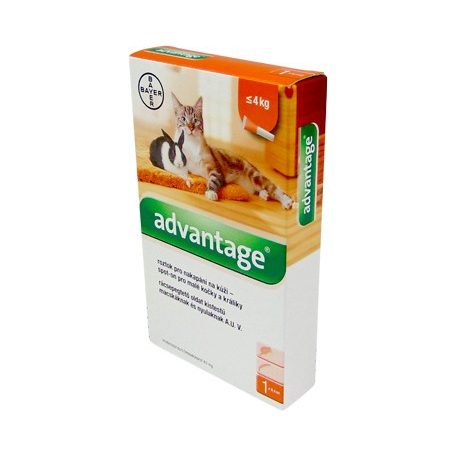 Advantage-40, rácsepegtető oldat macskáknak és nyulaknak 4kg alatti 1x0.4ml